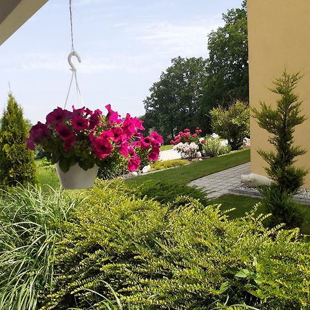 Villa Casa Sol-Rural Residence Near Linz Katsdorf Екстер'єр фото