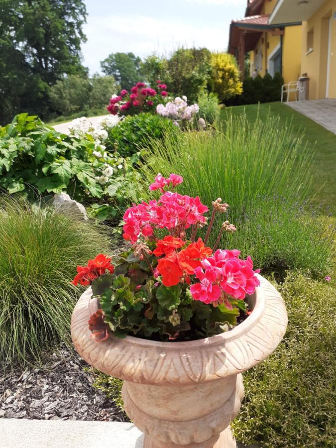 Villa Casa Sol-Rural Residence Near Linz Katsdorf Екстер'єр фото